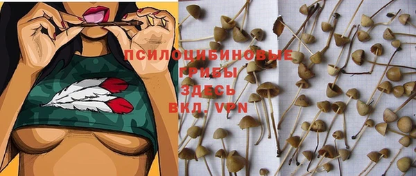 мескалин Аркадак